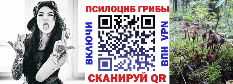 Галлюциногенные грибы Psilocybe Палласовка